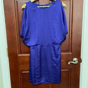 Purple shade Akira dress